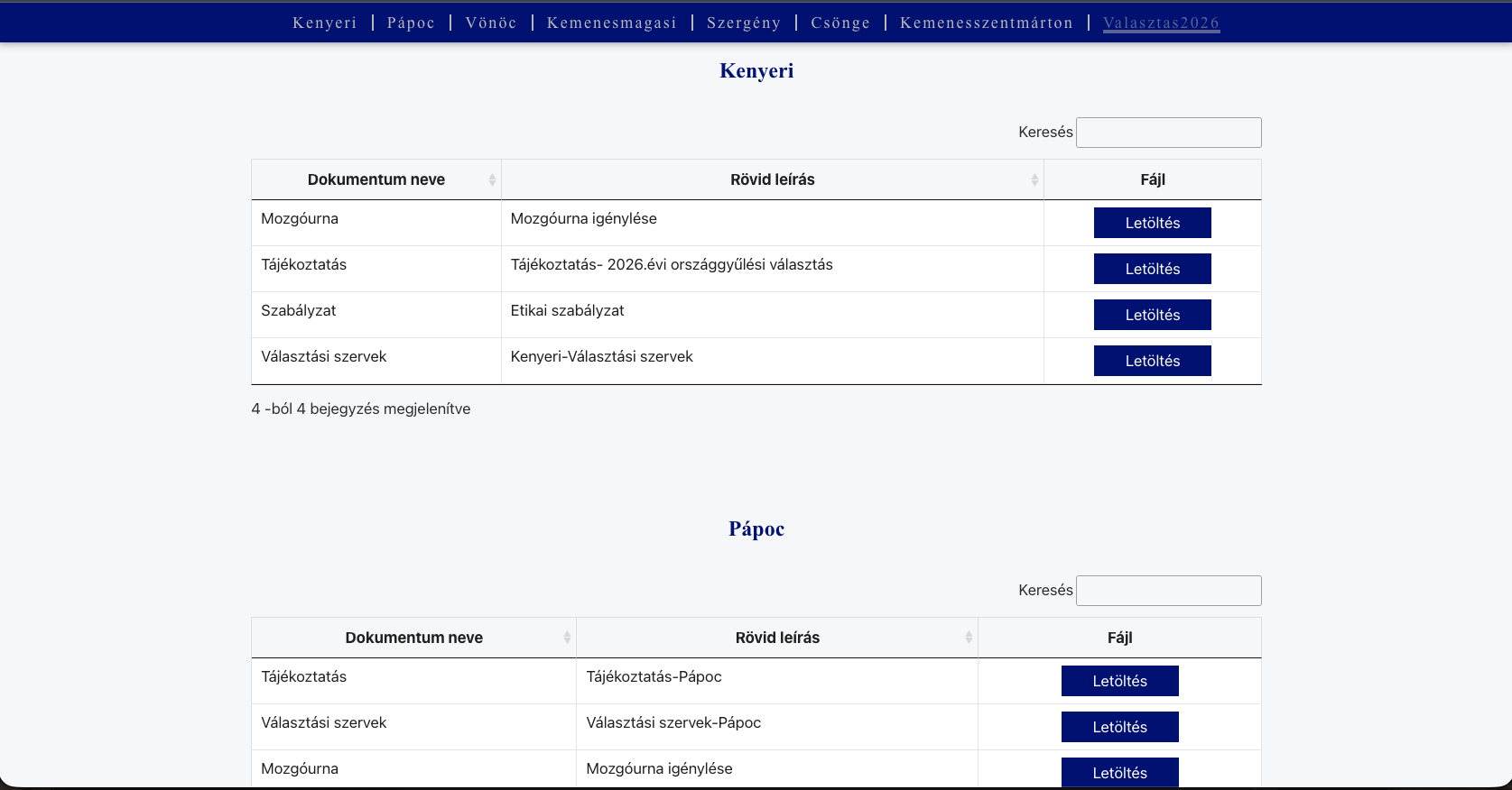 Önkormányzati weboldal fejlesztési illusztráció