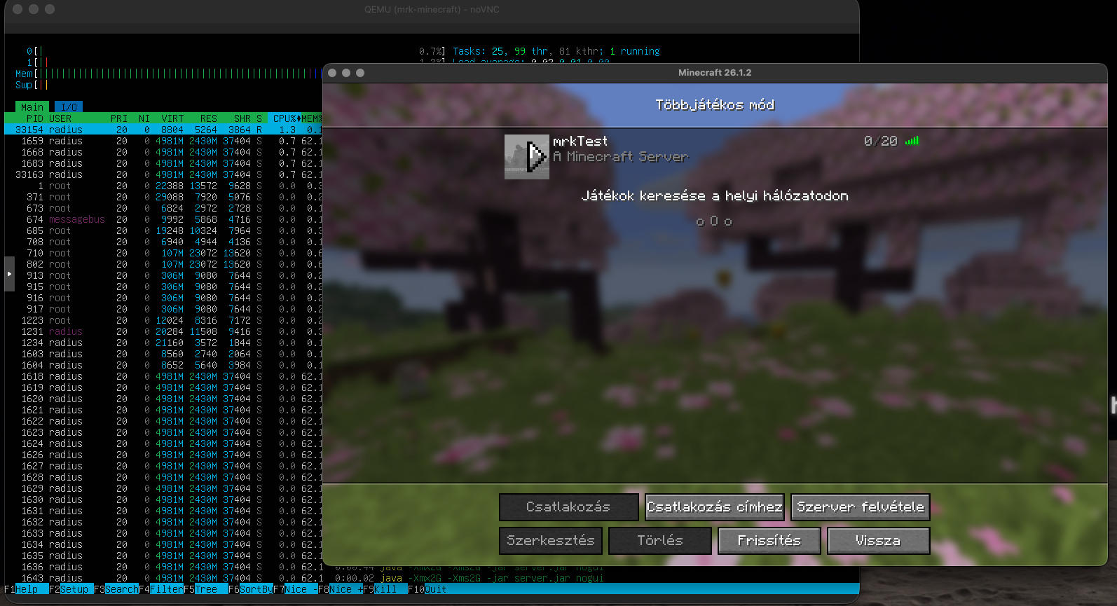 Saját Minecraft Szerver projekt borítóképe